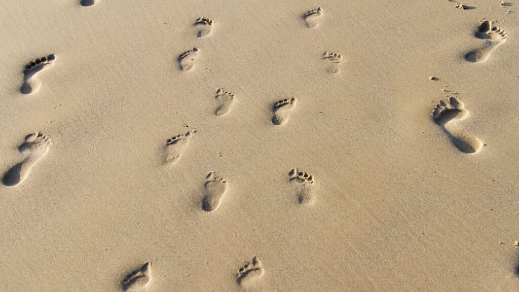 <strong><u>LEAVING A FOOTPRINT</u></strong>